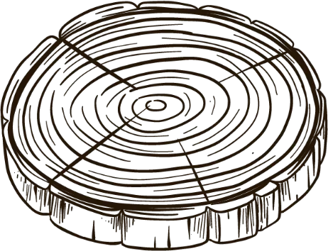 grafica di una fetta di tronco
