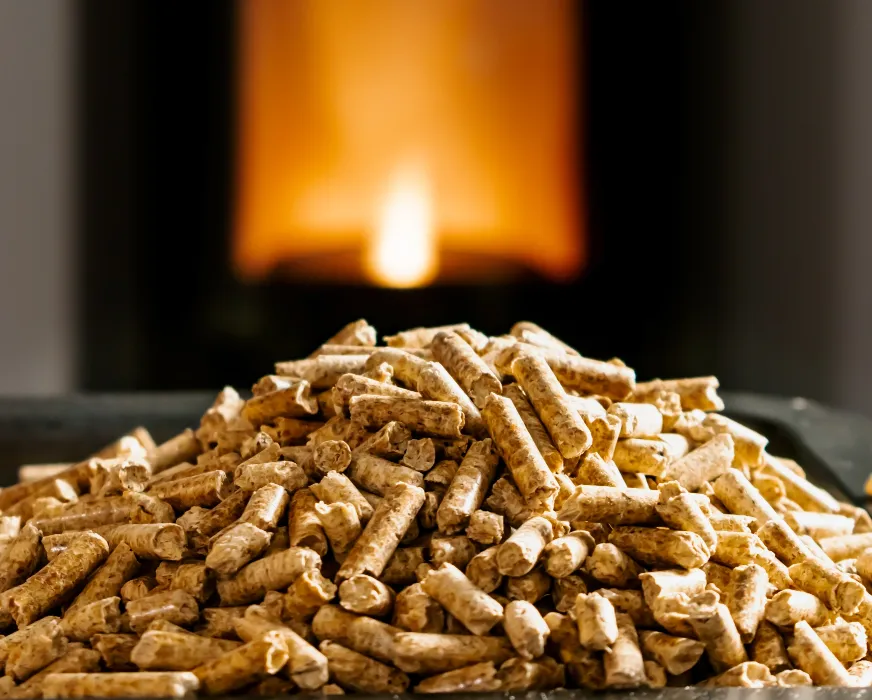 immagine del pellet